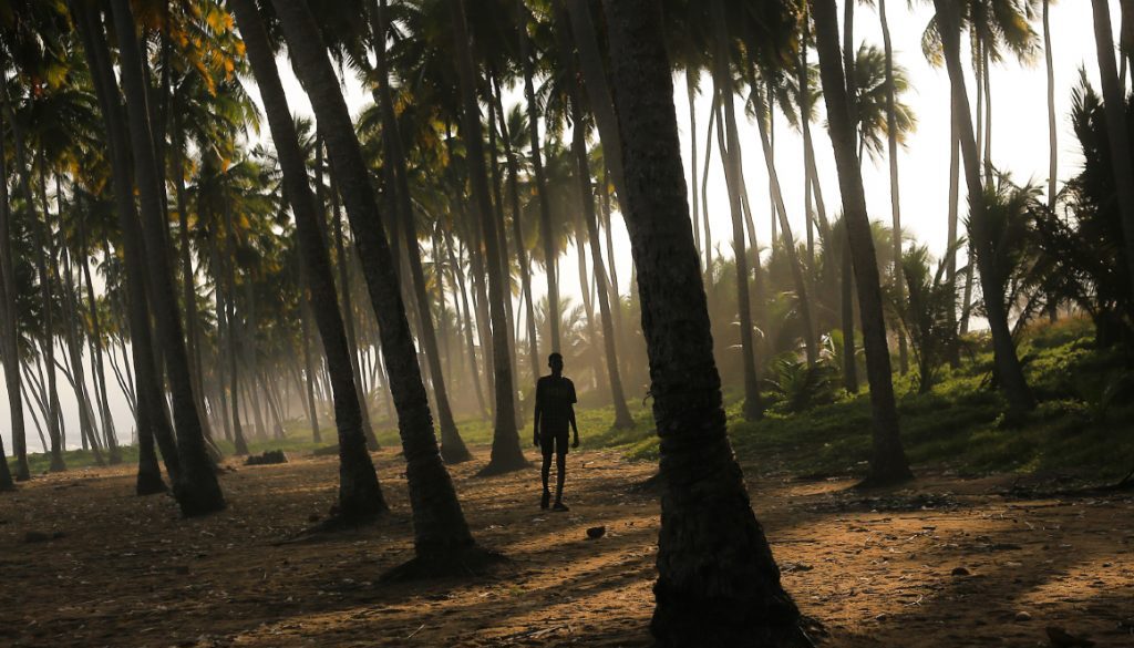 Ghana, człowiek pośród palm, Adrianna Ojrzanowska