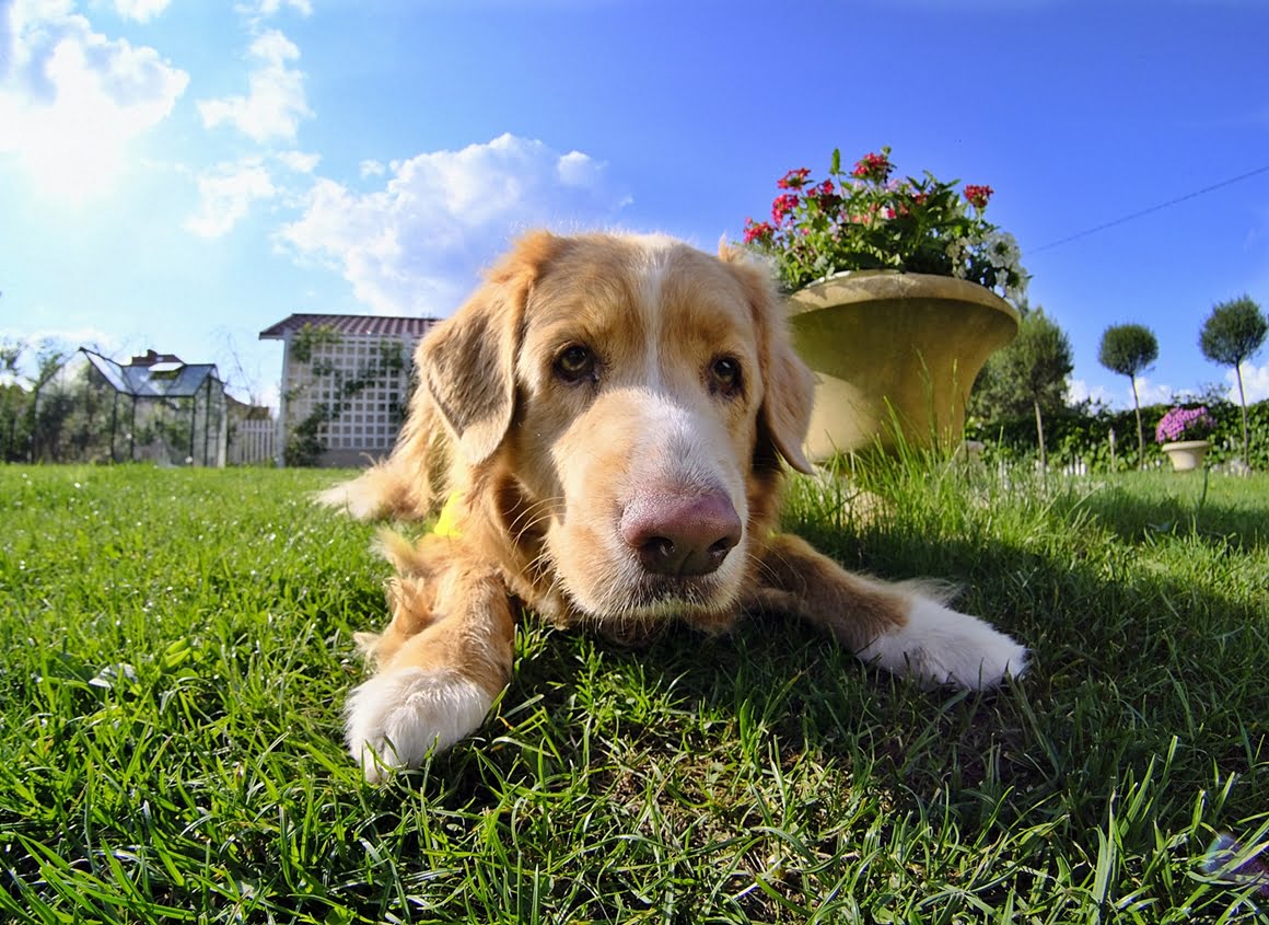 7,5 mm f2,8 Pasterka