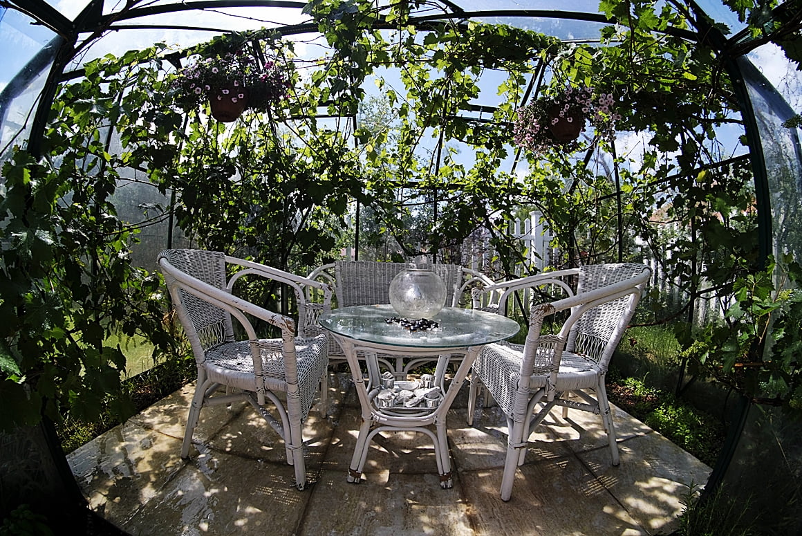 Greenhouse
