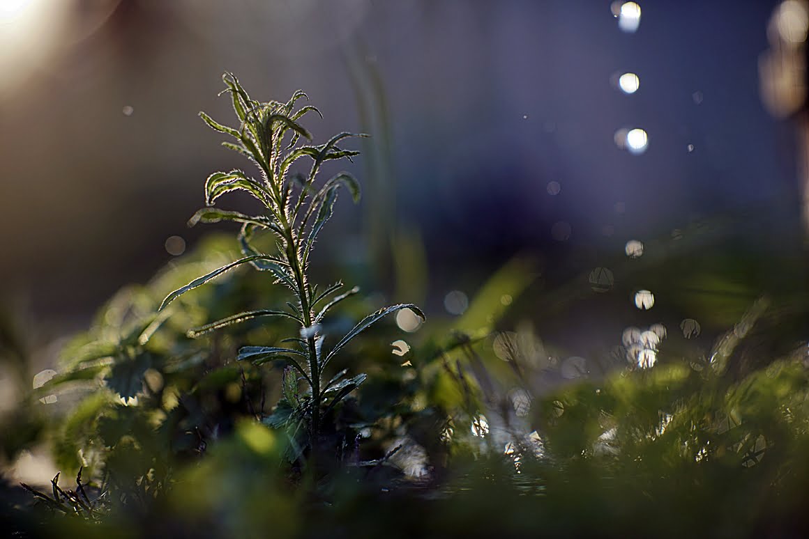 Dripping water 2