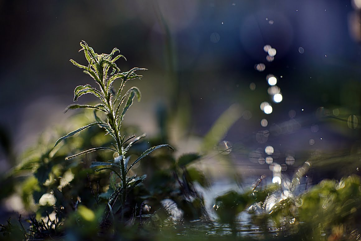 Dripping water