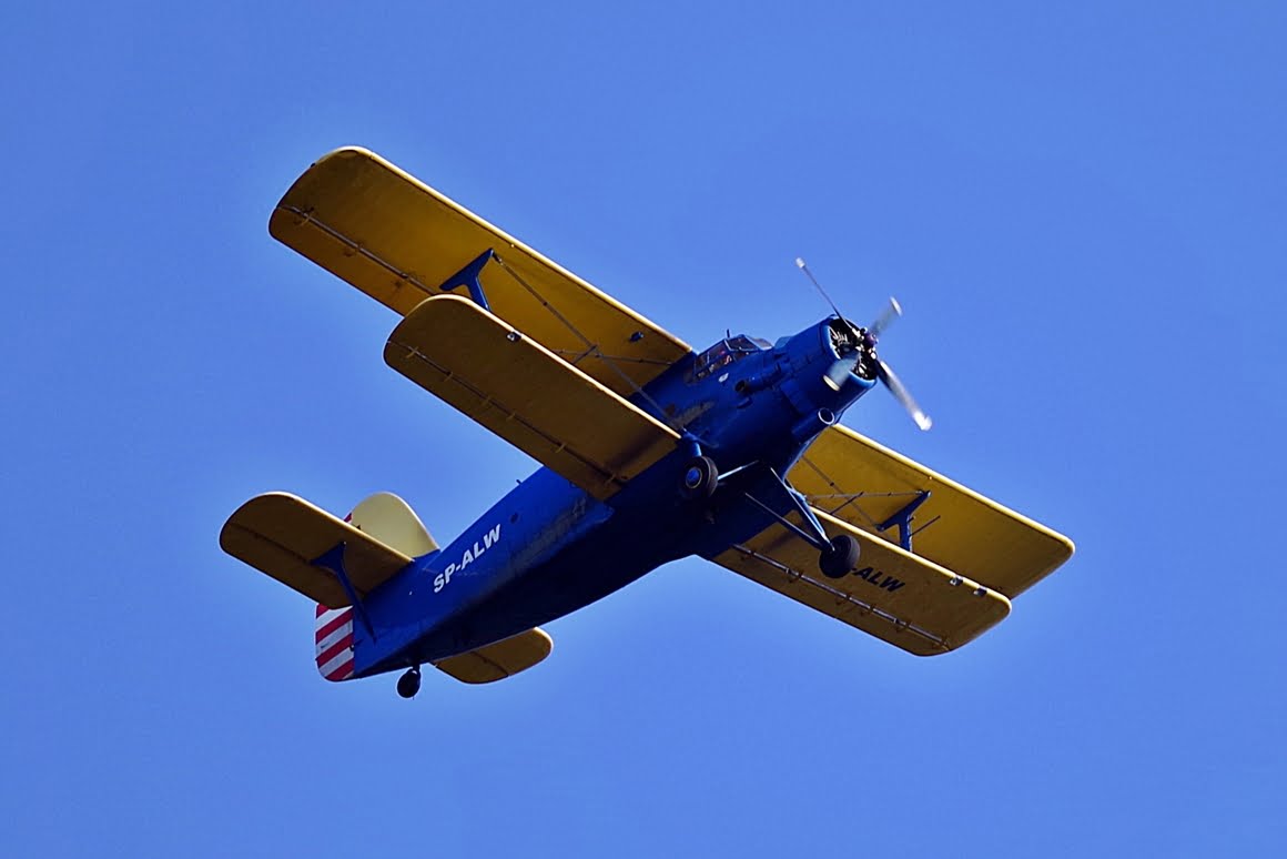 PH-20 a