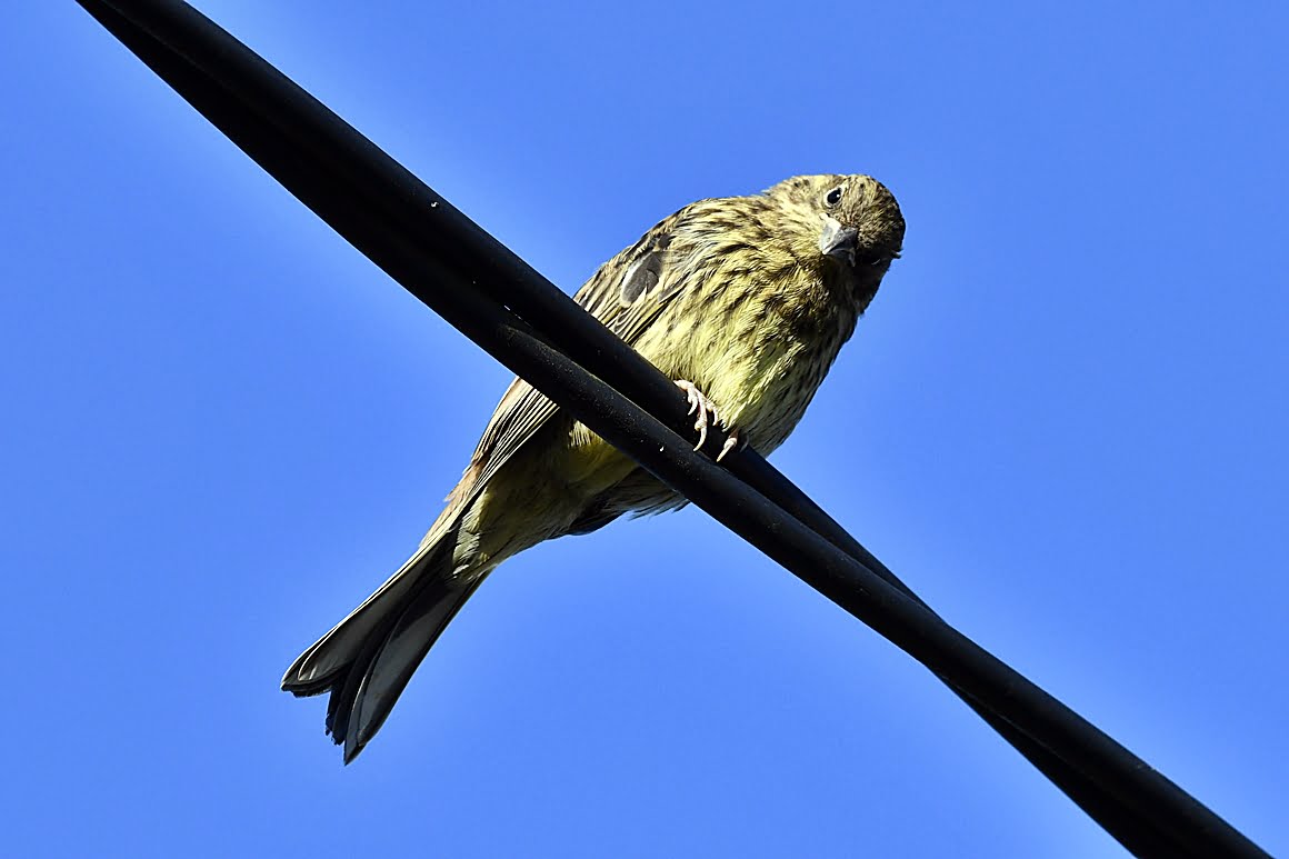 400mm_f2.8f