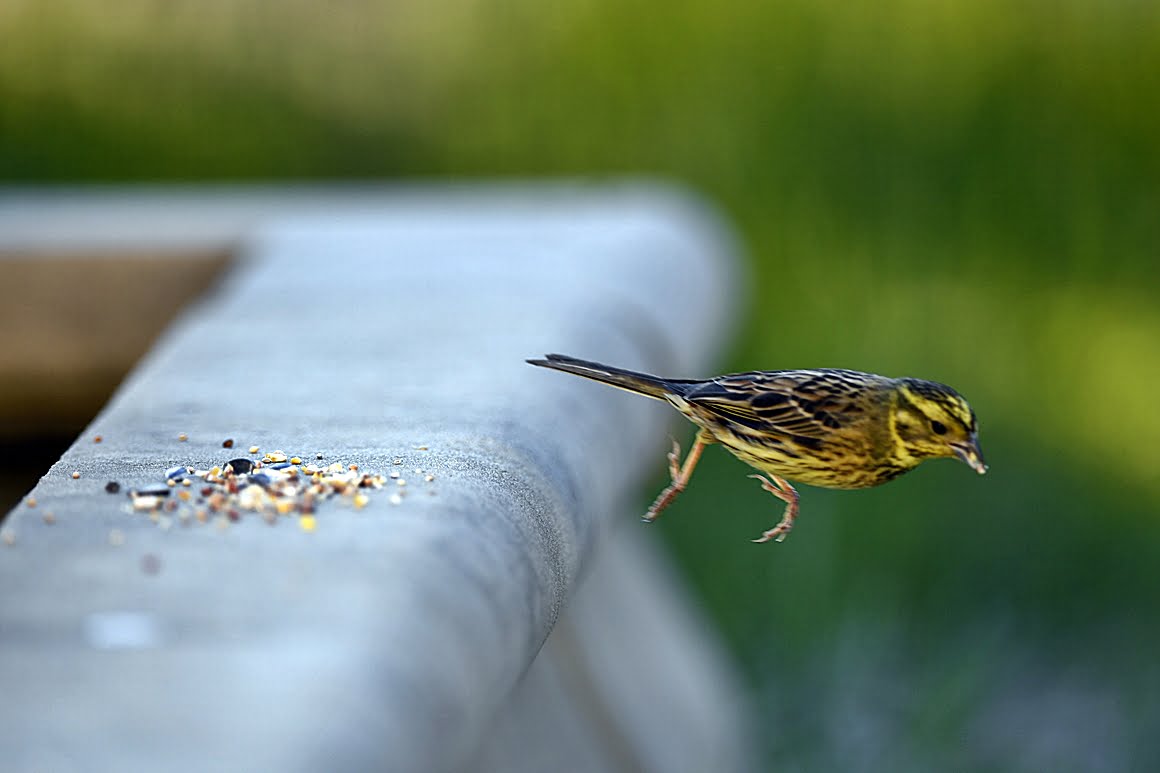 400mm_f2.8h