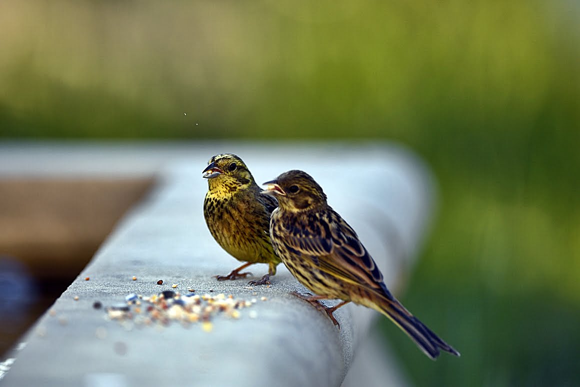 400mm_f2.8i