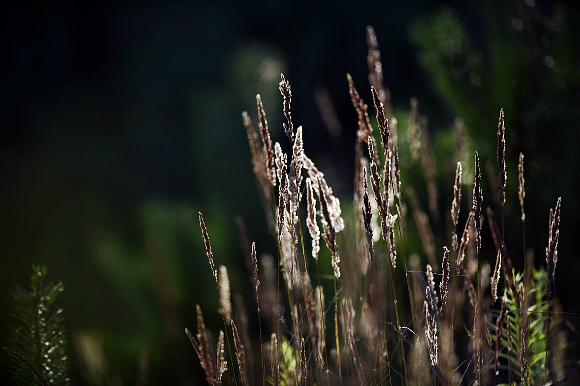 400mm_f2.8k