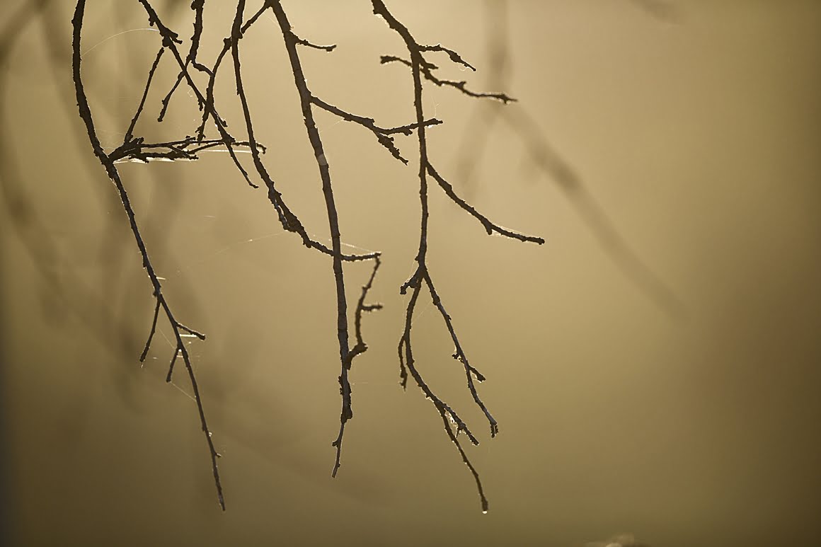 400mm_f2.8o