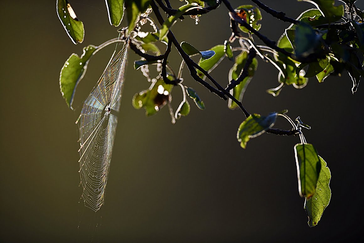 400mm_f2.8p