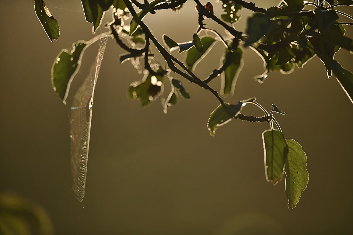 400mm_f2.8s
