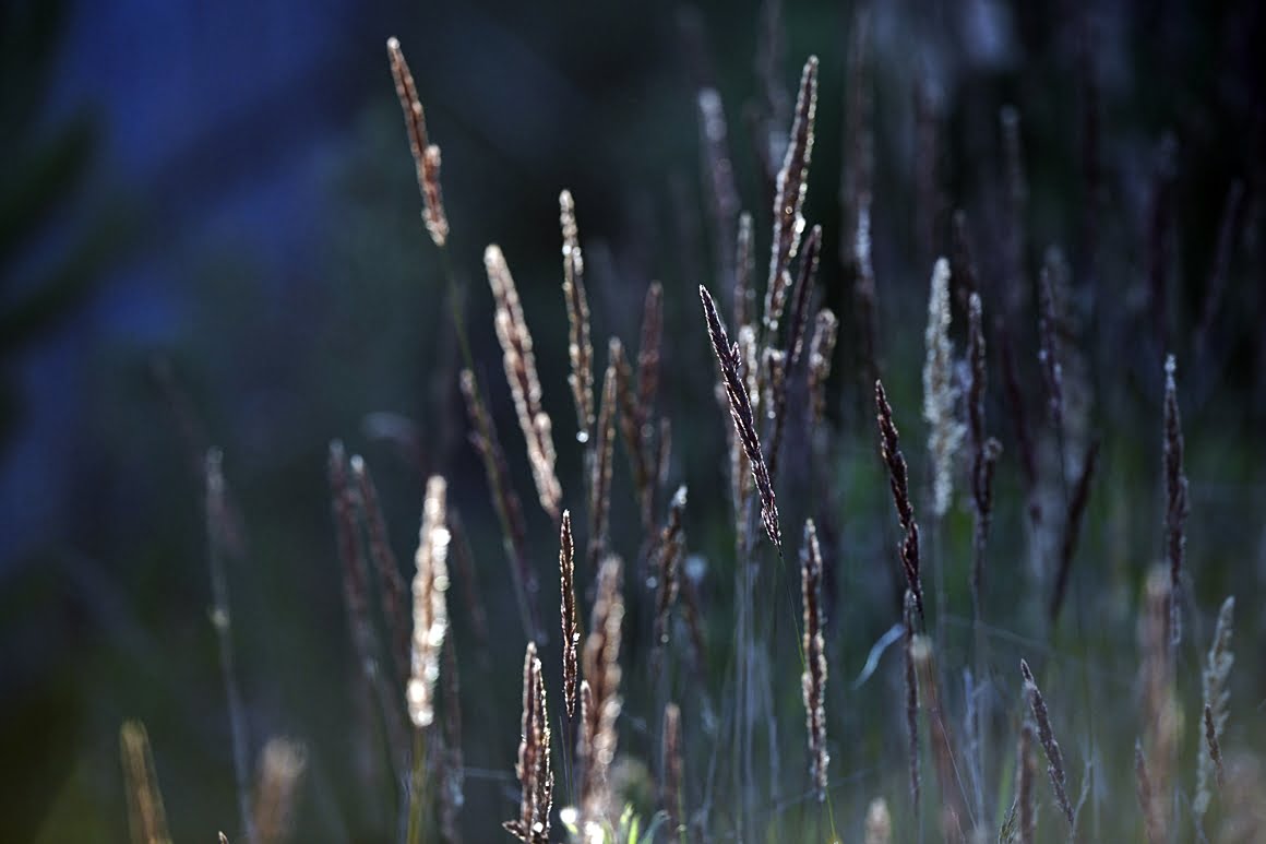 400mm_f2.8v