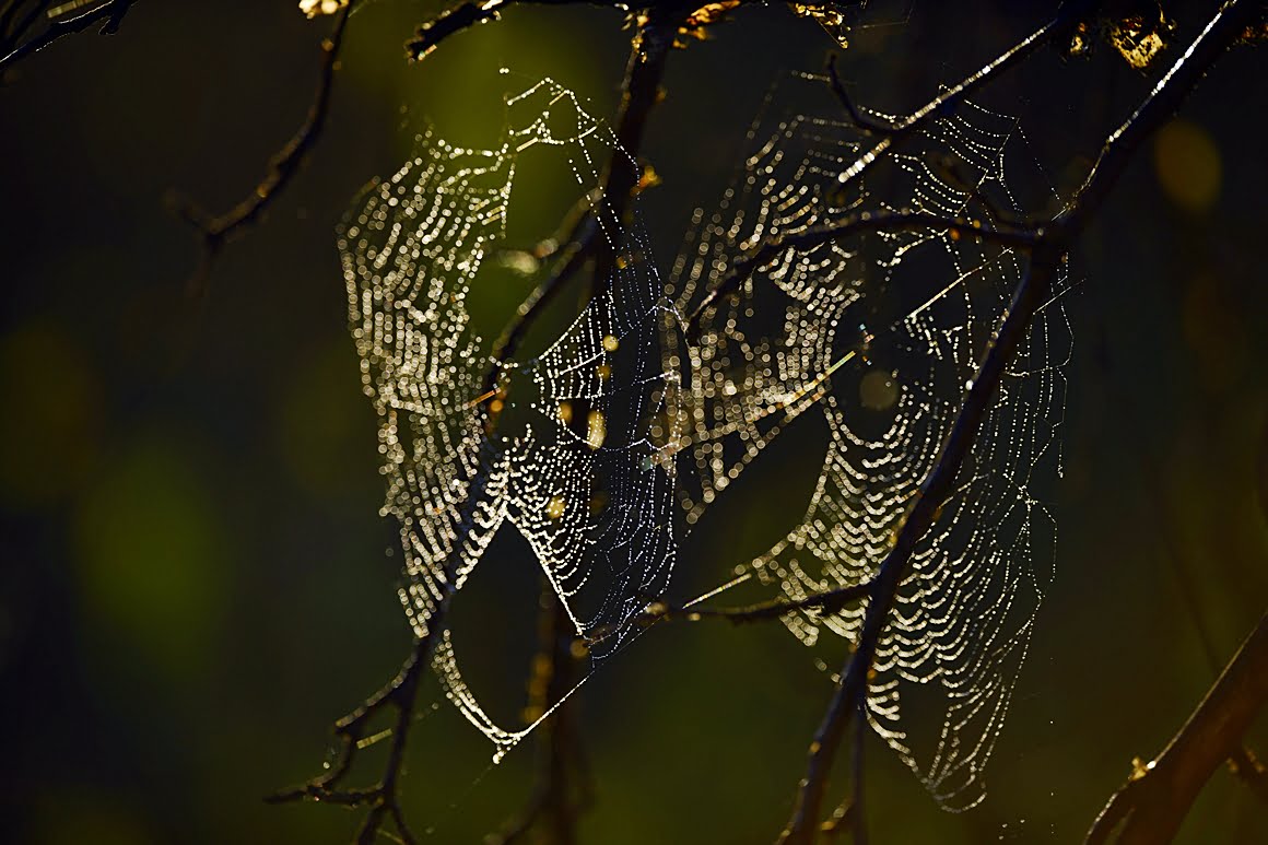 400mm_f2.8z