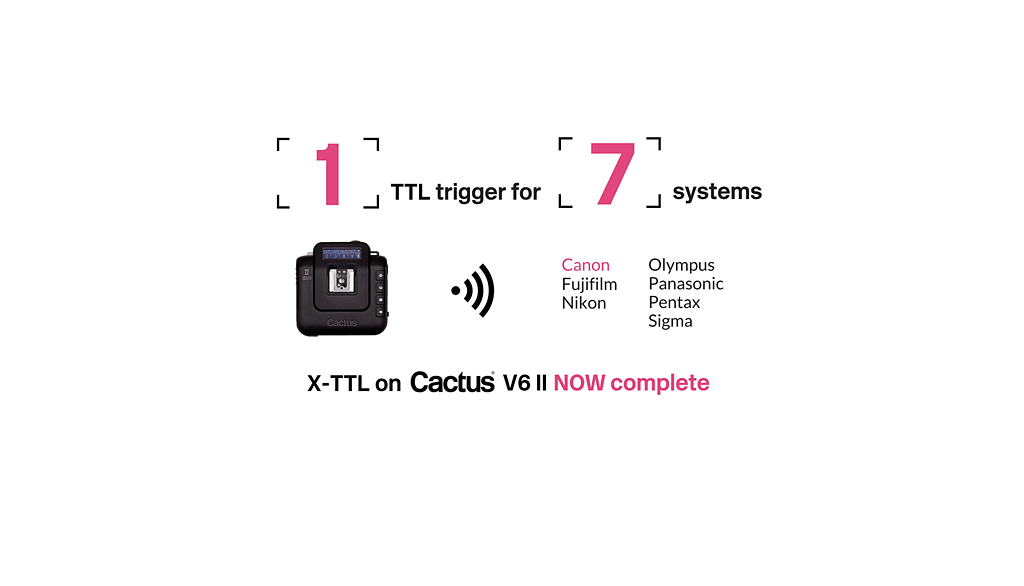 Web x ttl main image