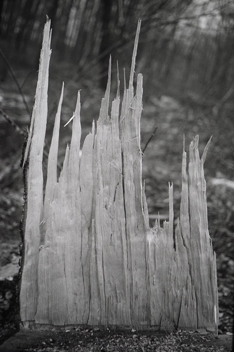 Canon-AE1-Final-Cut