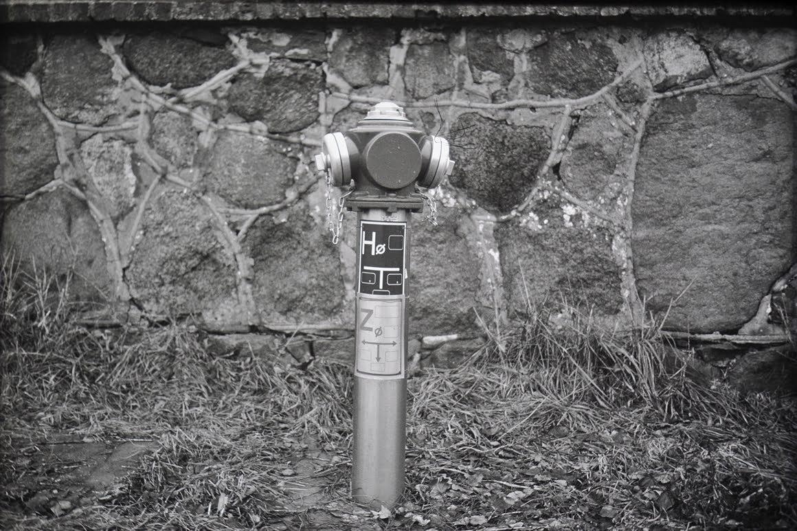 Canon-AE1-Fireplug