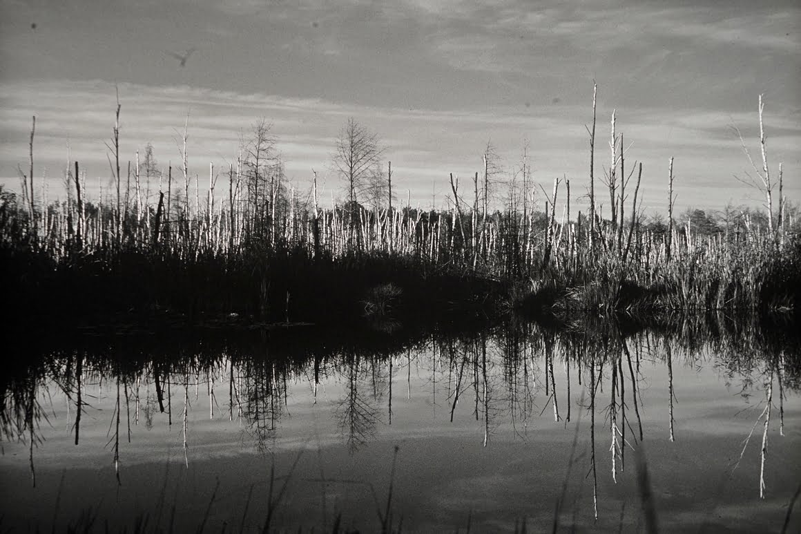 Canon-AE1-Pond-2