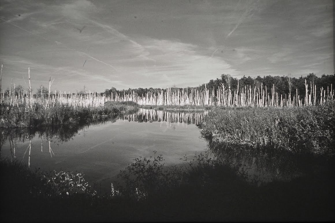 Canon-AE1-Pond-3