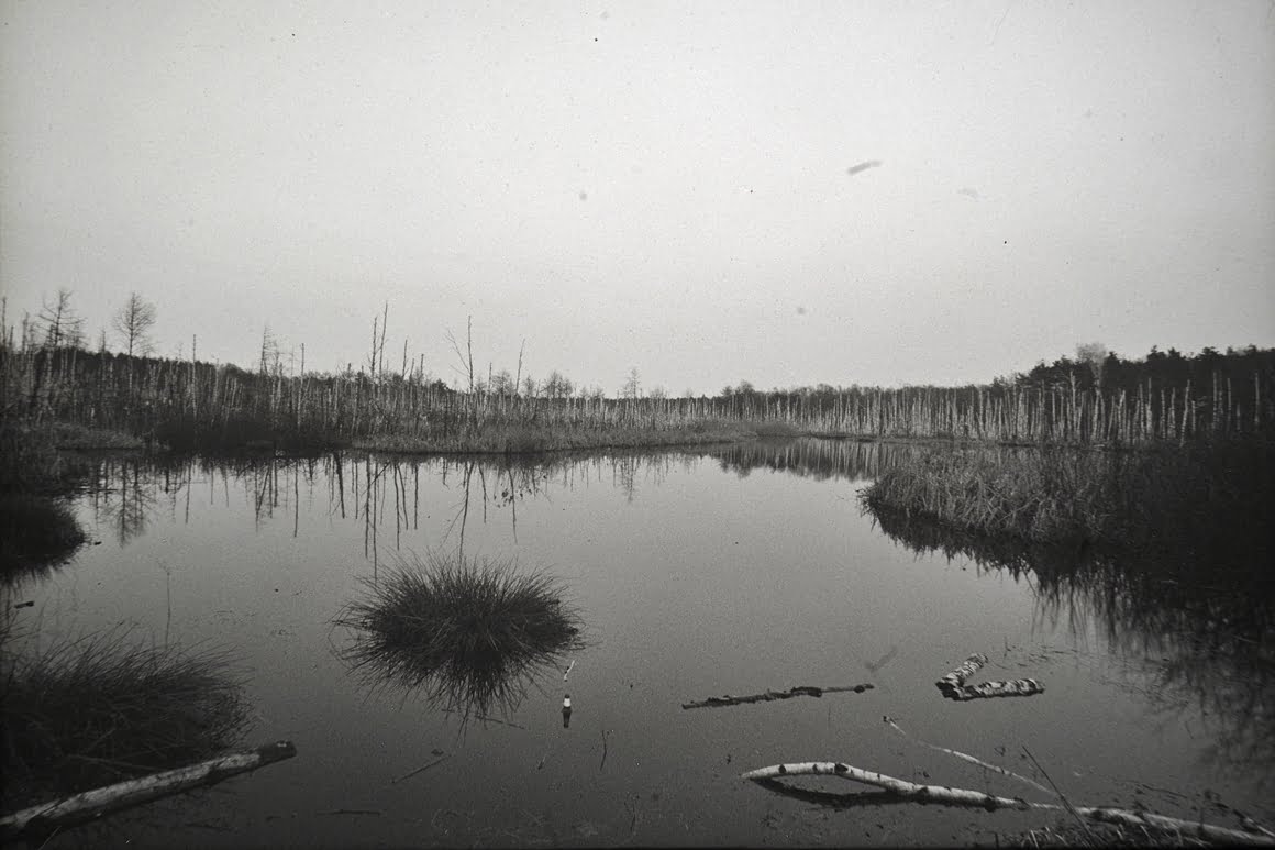 Canon-AE1-Pond
