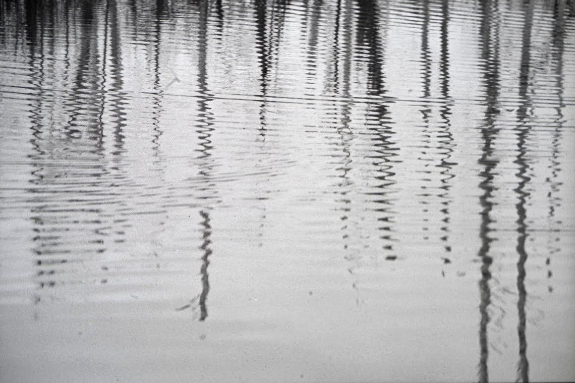 Canon-AE1-Tree-Reflections