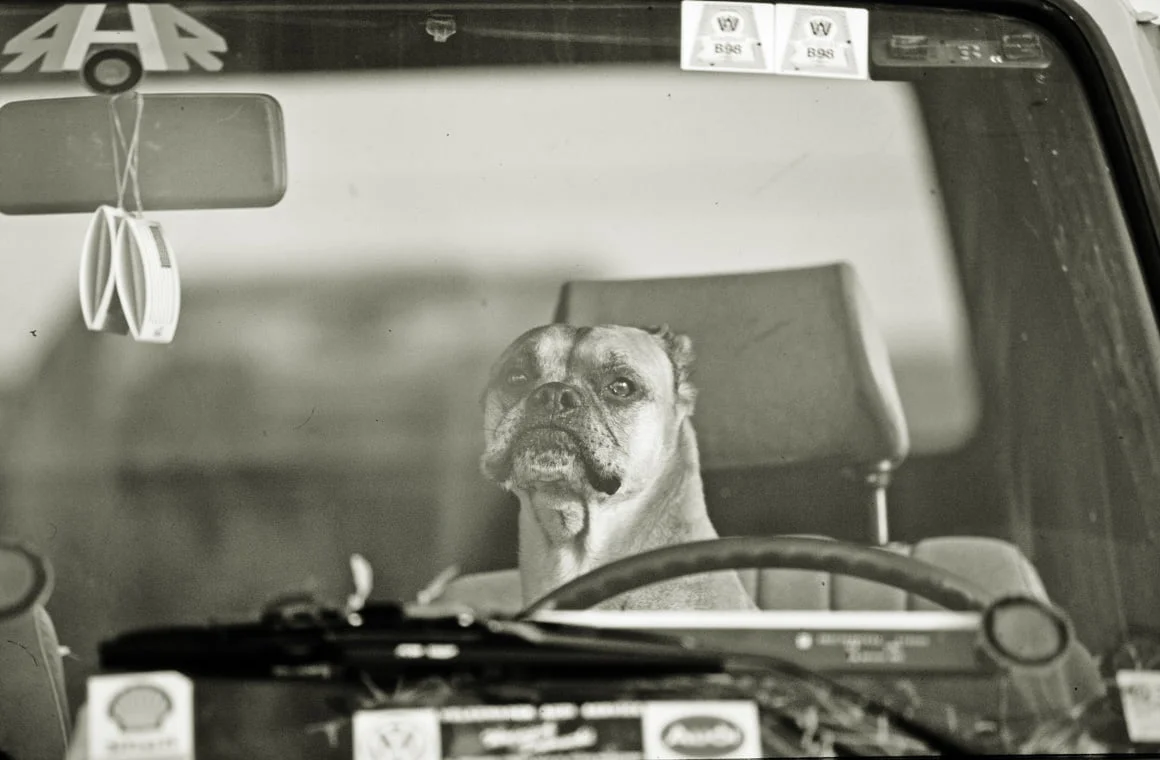 jarosław brzeziński, fotografia analogowa, interfoto.eu