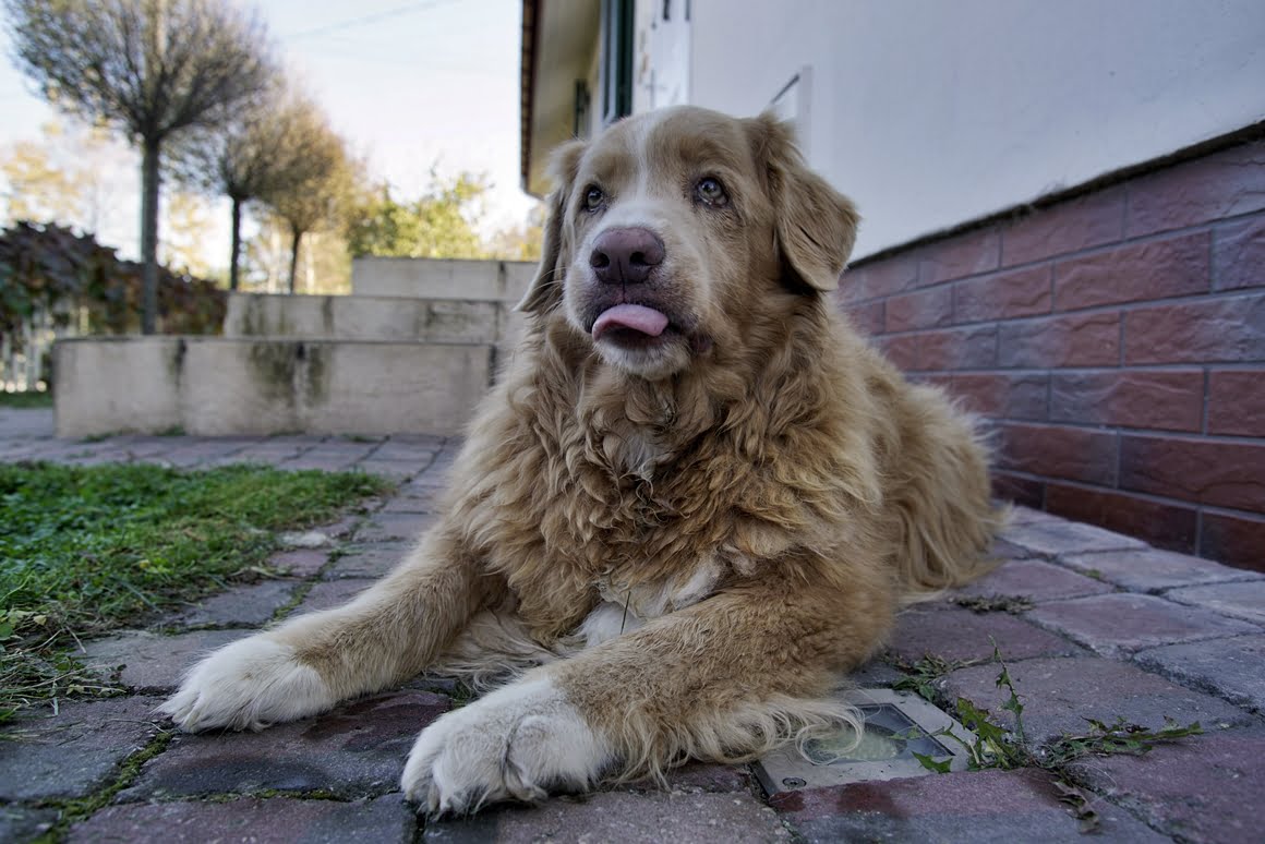 Canon-EF-20-35mm-f2,8L-Toller-20mm