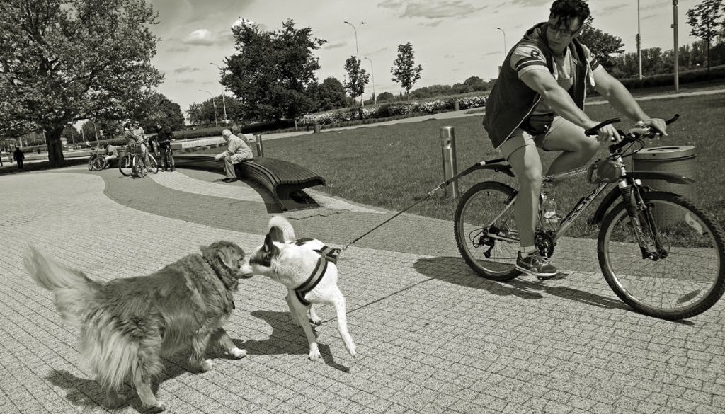 brzeziński jarosław, interfoto.eu, street photography