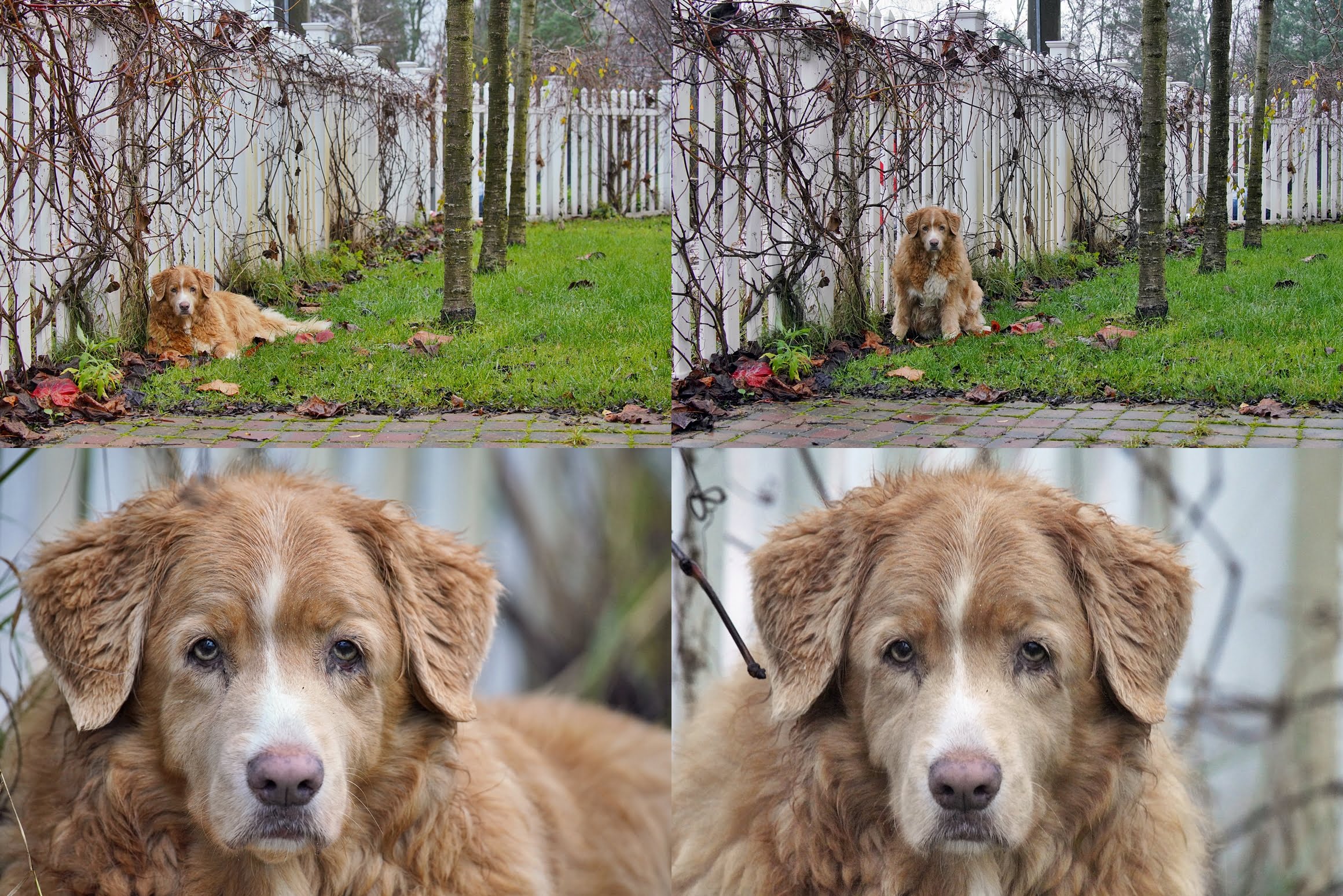 Sigma-60-600-Toller-6-tile