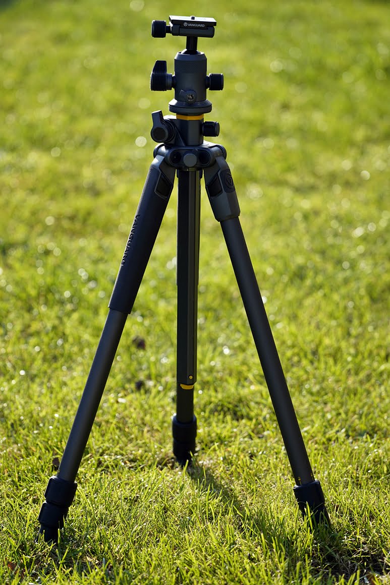 Vanguard-alta-Pro-2+-263AB100-2