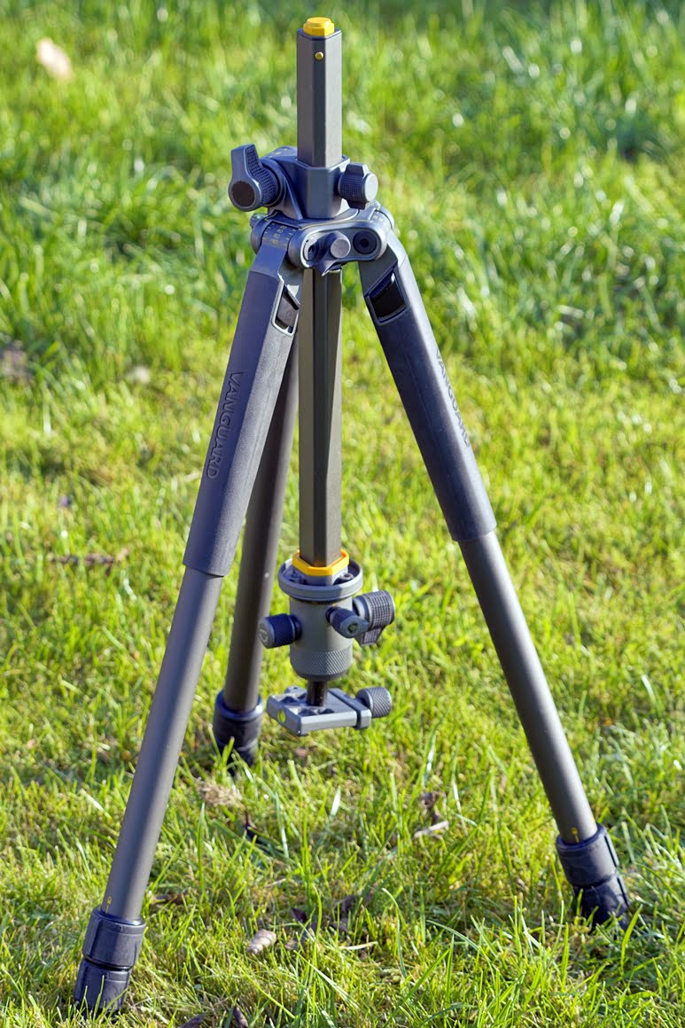 Vanguard-alta-Pro-2+-263AB100-23
