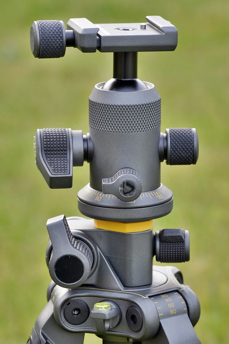 Vanguard-alta-Pro-2+-263AB100-6