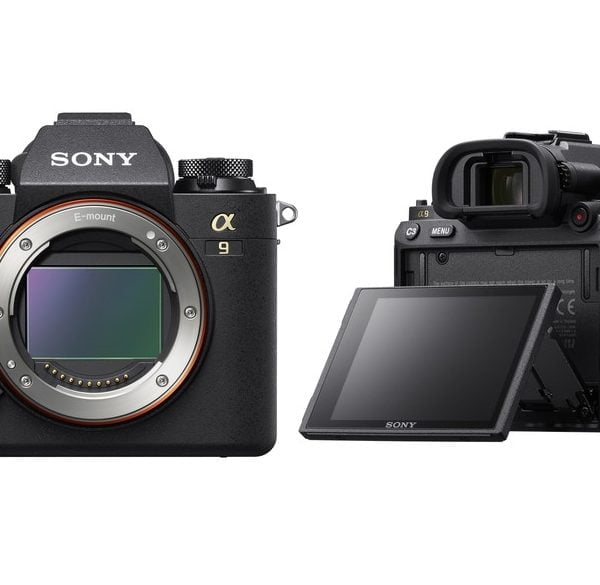 Sony obiecuje aktualizacje oprogramowania aparatów a7 III, a7R III oraz a9 poprawiające autofokus