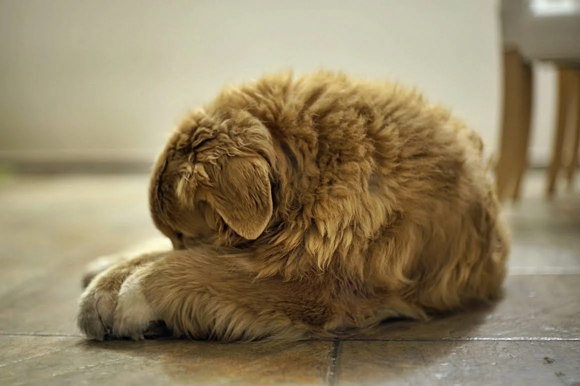 Techart-LM-EA7-Pasterka-13