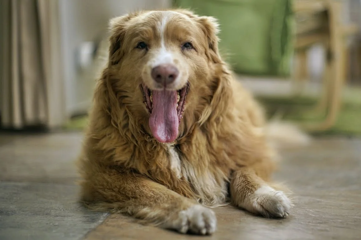 Techart-LM-EA7-Pasterka-6