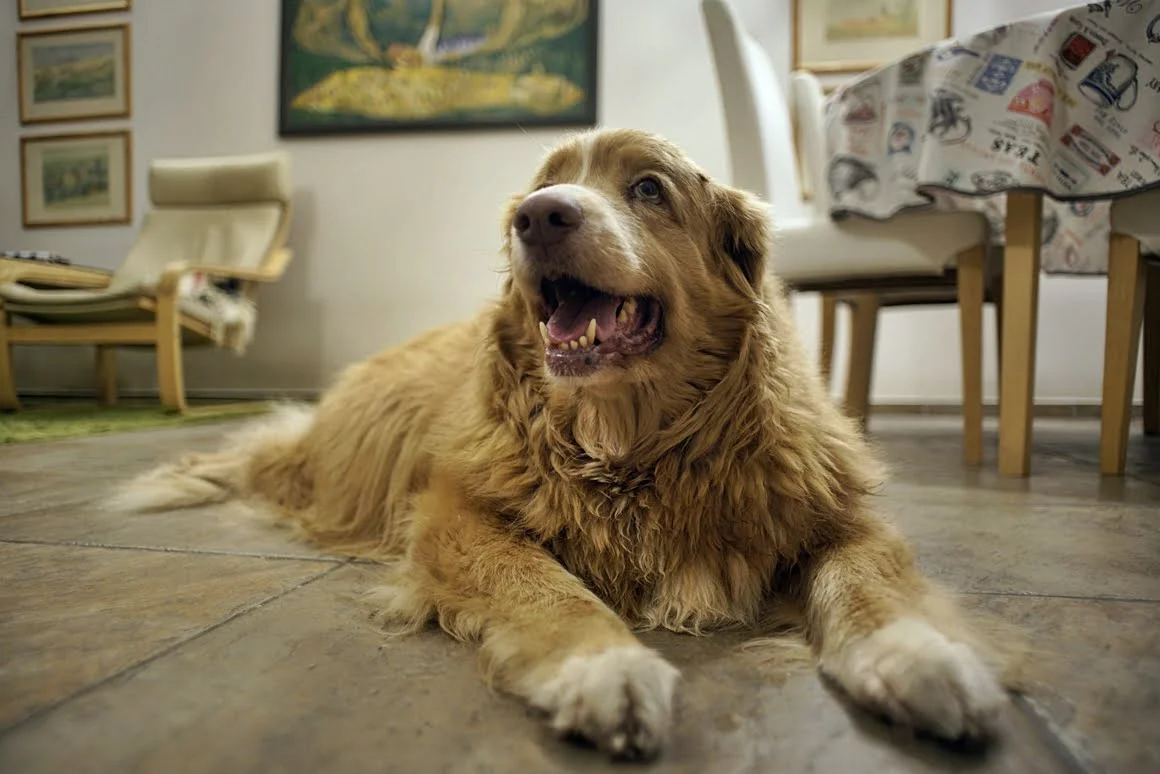 Techart-LM-EA7-Pasterka-8