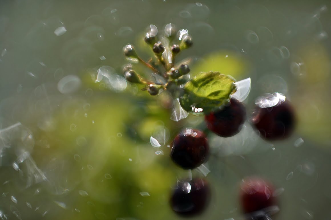 Meopta-SO-100mm-f1.4-1