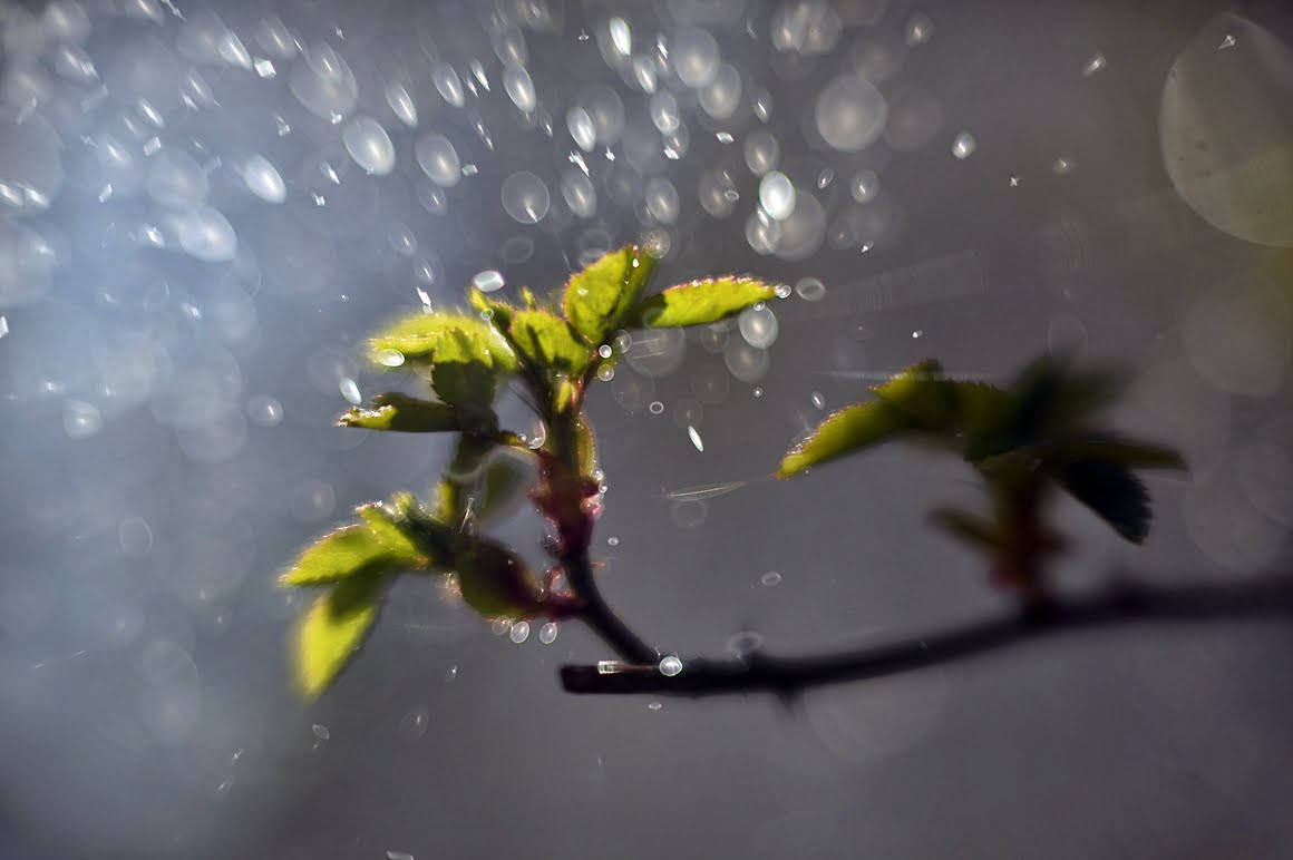 Meopta-SO-100mm-f1.4-13
