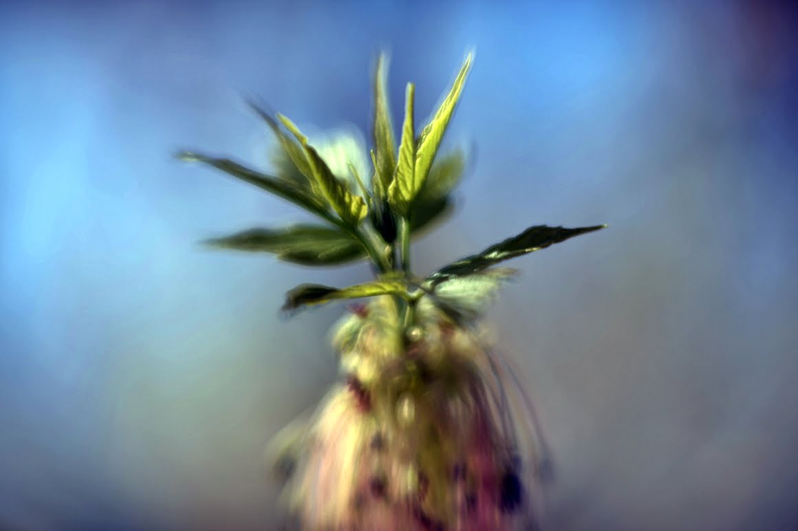 Meopta-SO-100mm-f1.4-16
