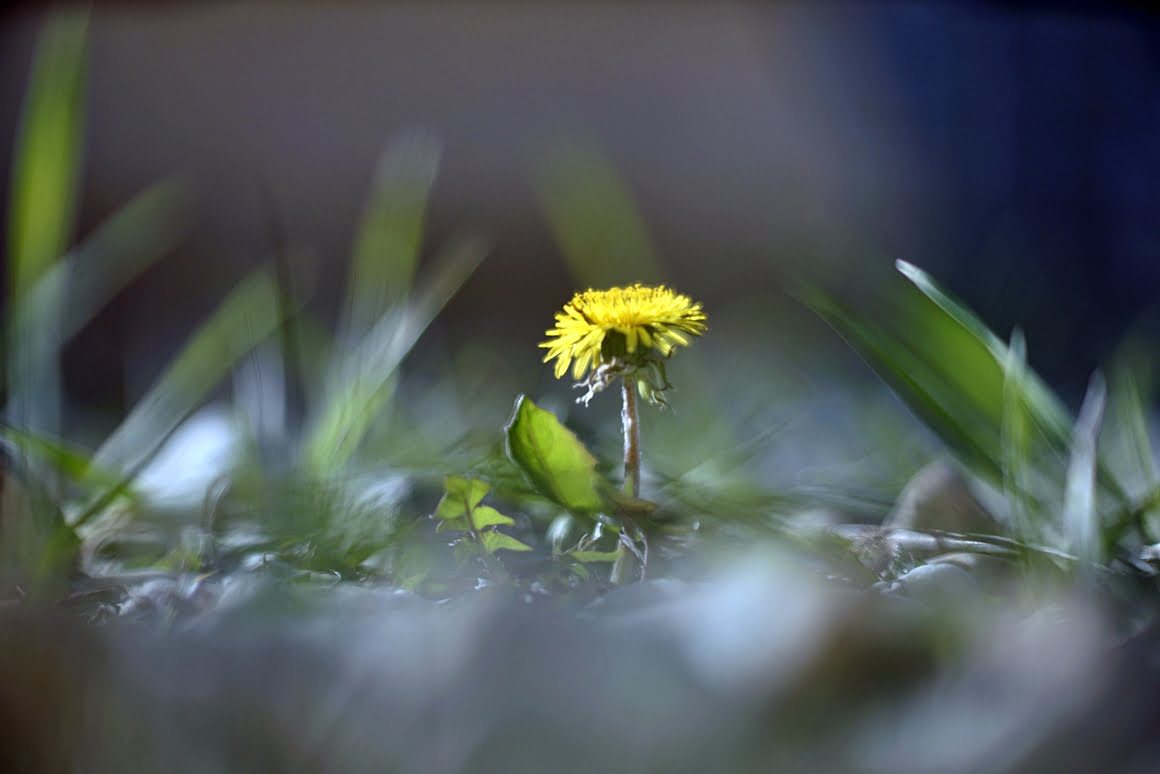 Meopta-SO-100mm-f1.4-23