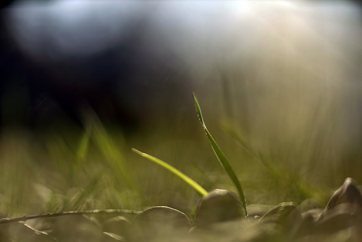 Meopta-SO-100mm-f1.4-24