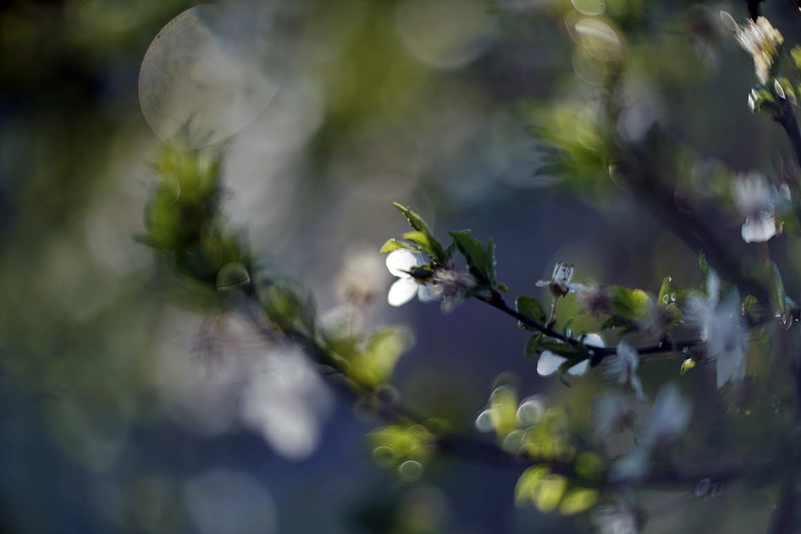 Meopta-SO-100mm-f1.4-25