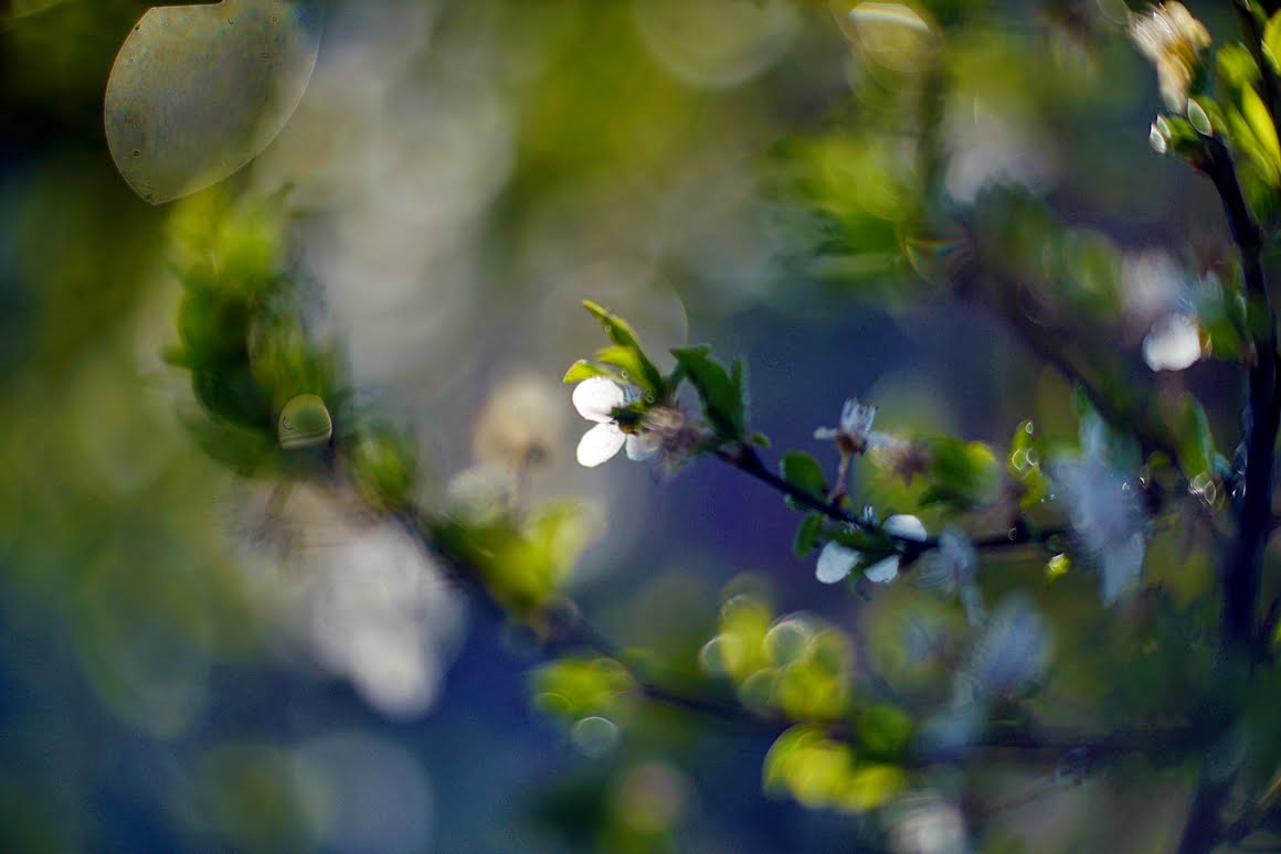 Meopta-SO-100mm-f1.4-26
