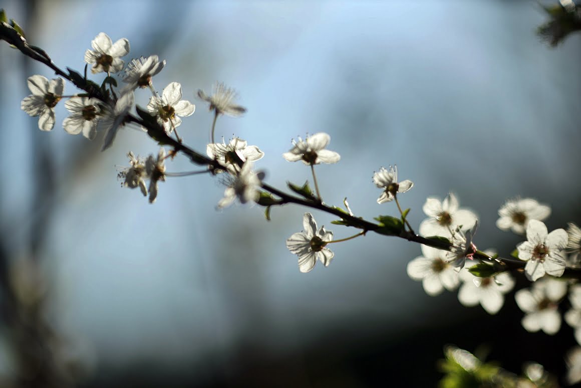Meopta-SO-100mm-f1.4-27