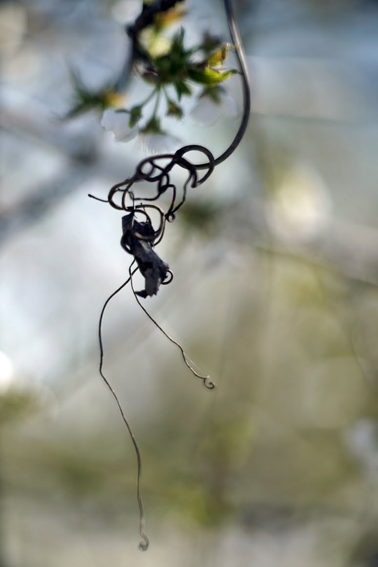 Meopta-SO-100mm-f1.4-40