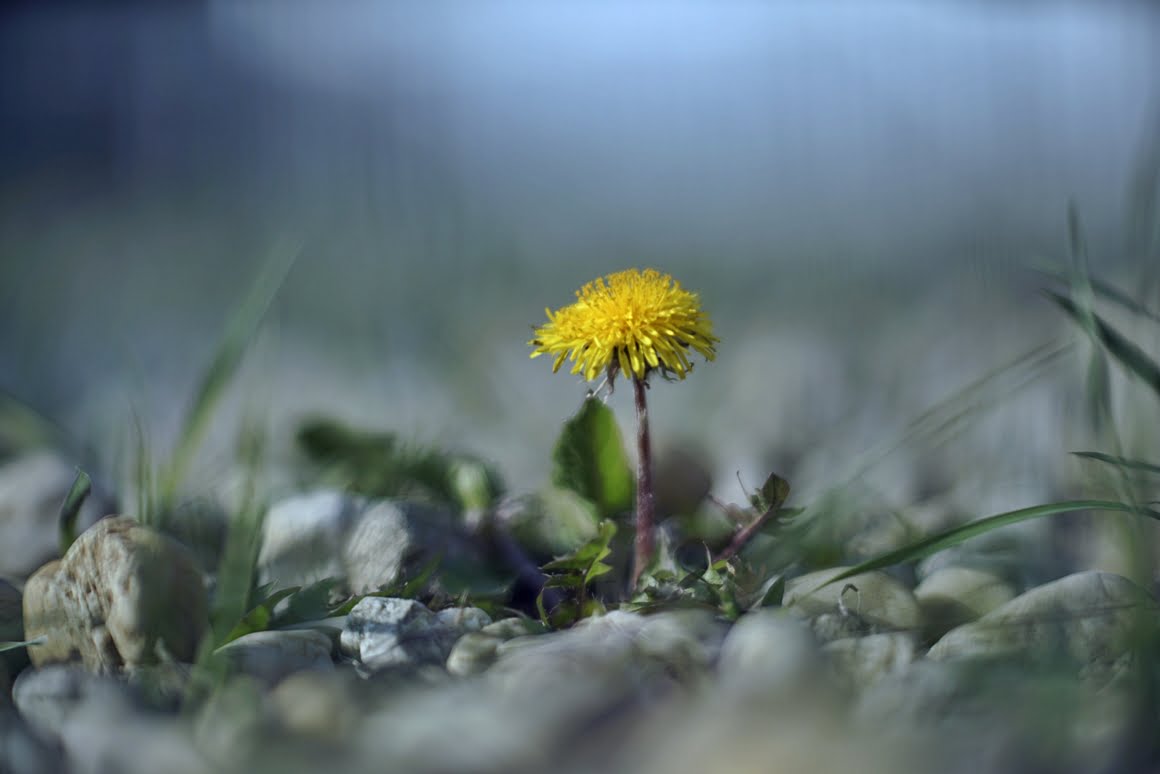 Meopta-SO-100mm-f1.4-46