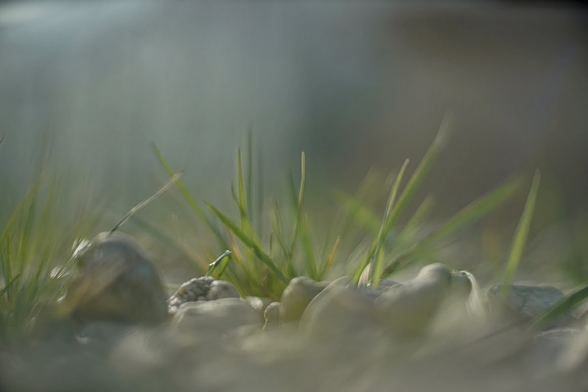 Meopta-SO-100mm-f1.4-47