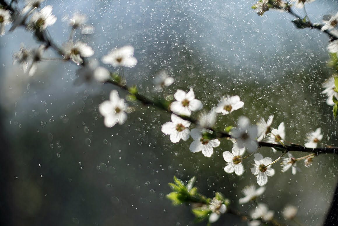 Meopta-SO-100mm-f1.4-6