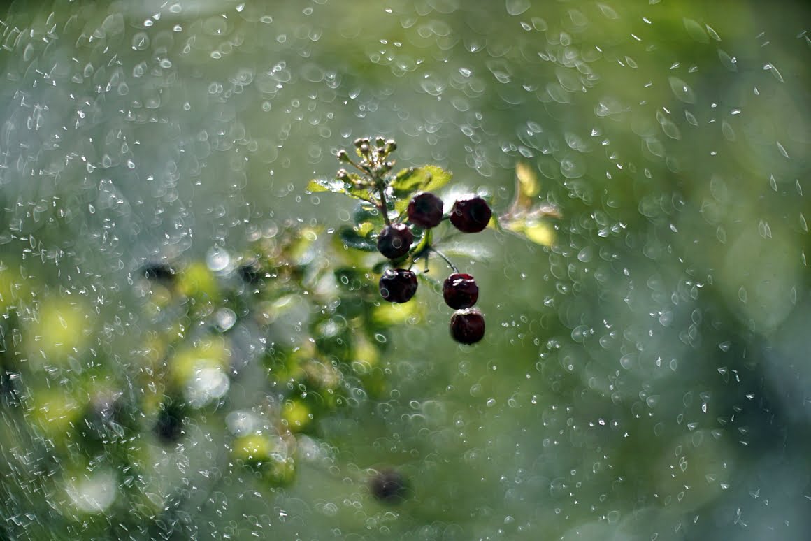 Meopta-SO-100mm-f1.4-8