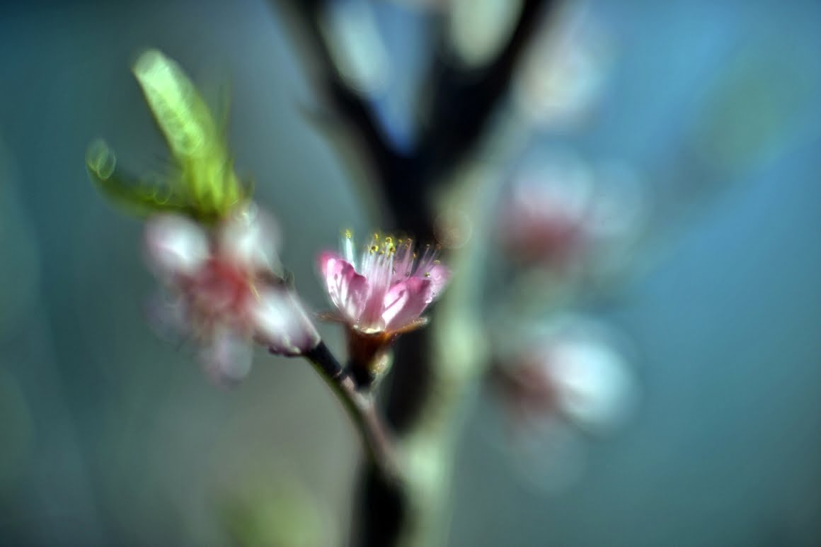 Meopta-SO-100mm-f1.4-9