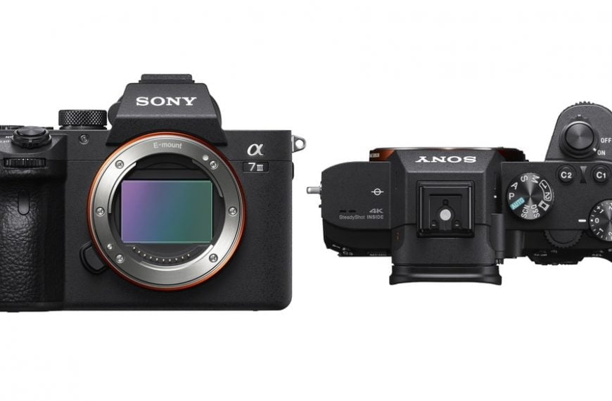 Sony dodaje poprawiony Real-time Eye AF, Animal Eye AF zdjęcia w odstępach czasowych do a7R III i A7 III