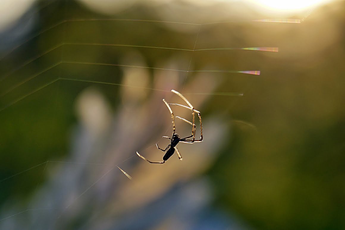 7Artisans-60mm-f2.8-Macro-27
