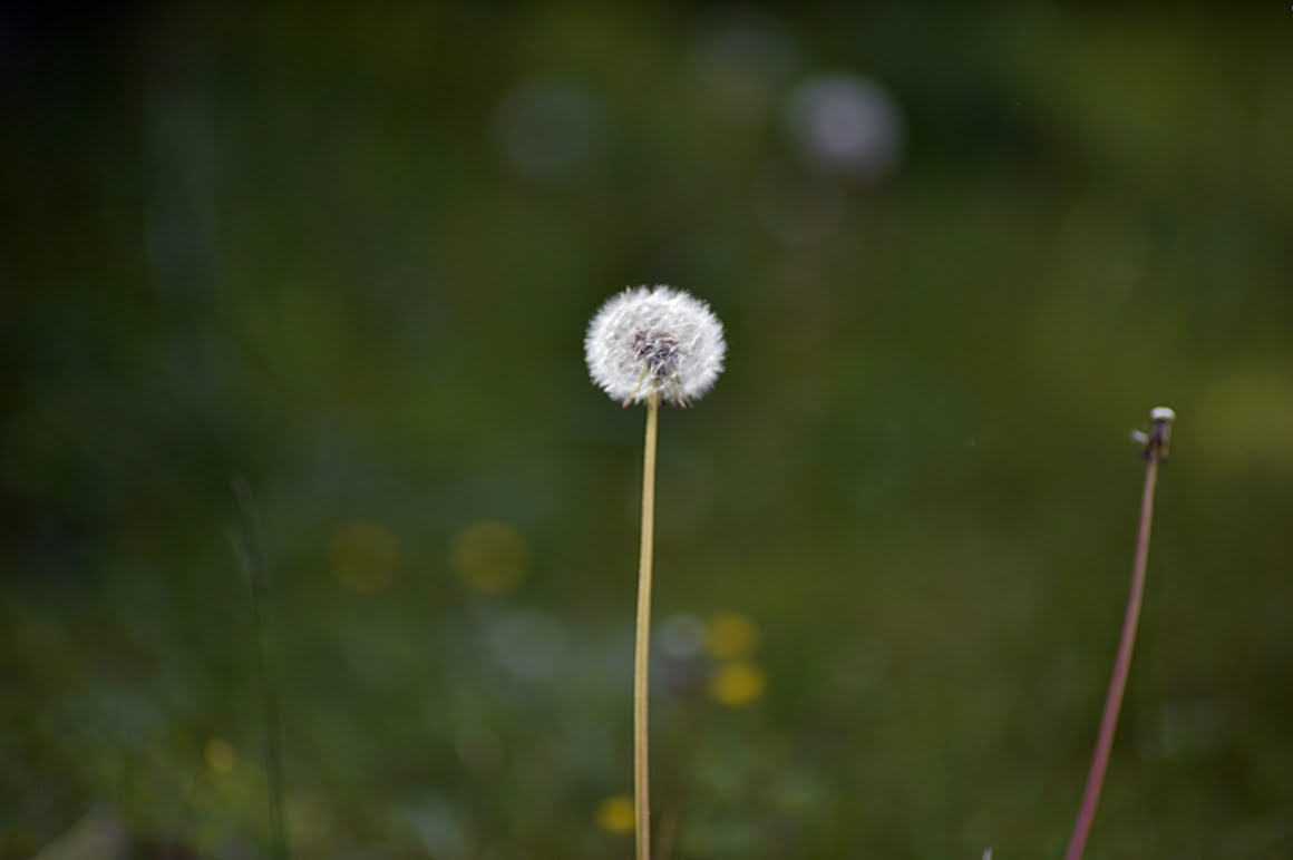 Angenieux-DEM- 180mm-f2.3-APO-L